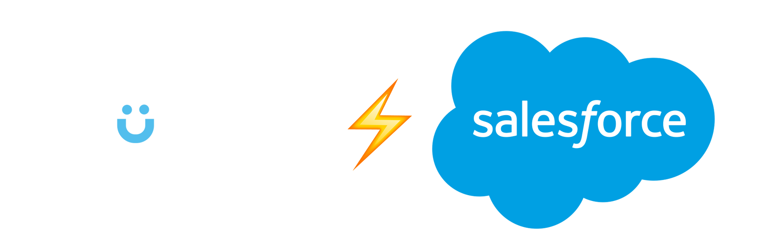 Diduenjoy x salesforce